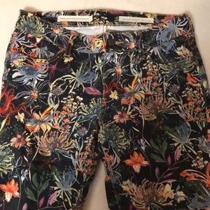Pilcro and the Letterpress mid-rise skinny sz 27 exotic floral print black jeans